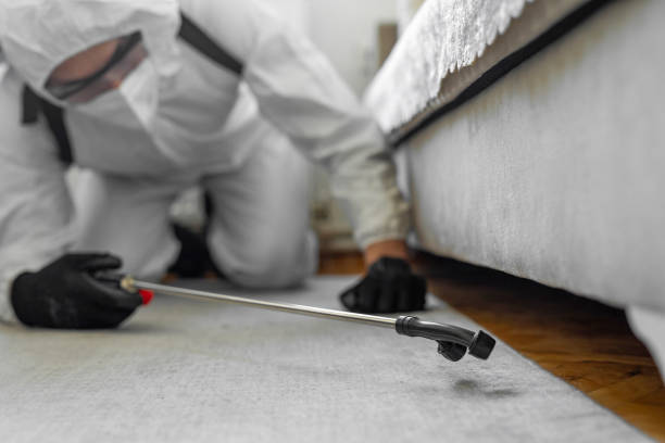 Professional Termite Control technician working in Oriskany, NY