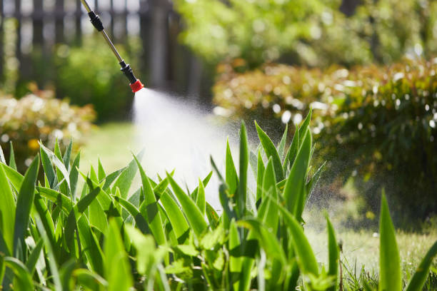 24/7 Emergency Termite Control experts in Oriskany, NY
