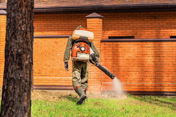Trusted Cockroach Control service in Oriskany, NY - Nex Pest Control